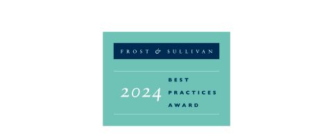 Frost & Sullivan's 2024 Customer Value Leader in the Global Managed SASE Service Industry Image